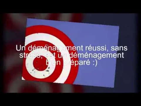 Les déménageurs professionnels à Genève : comment choisir le bon