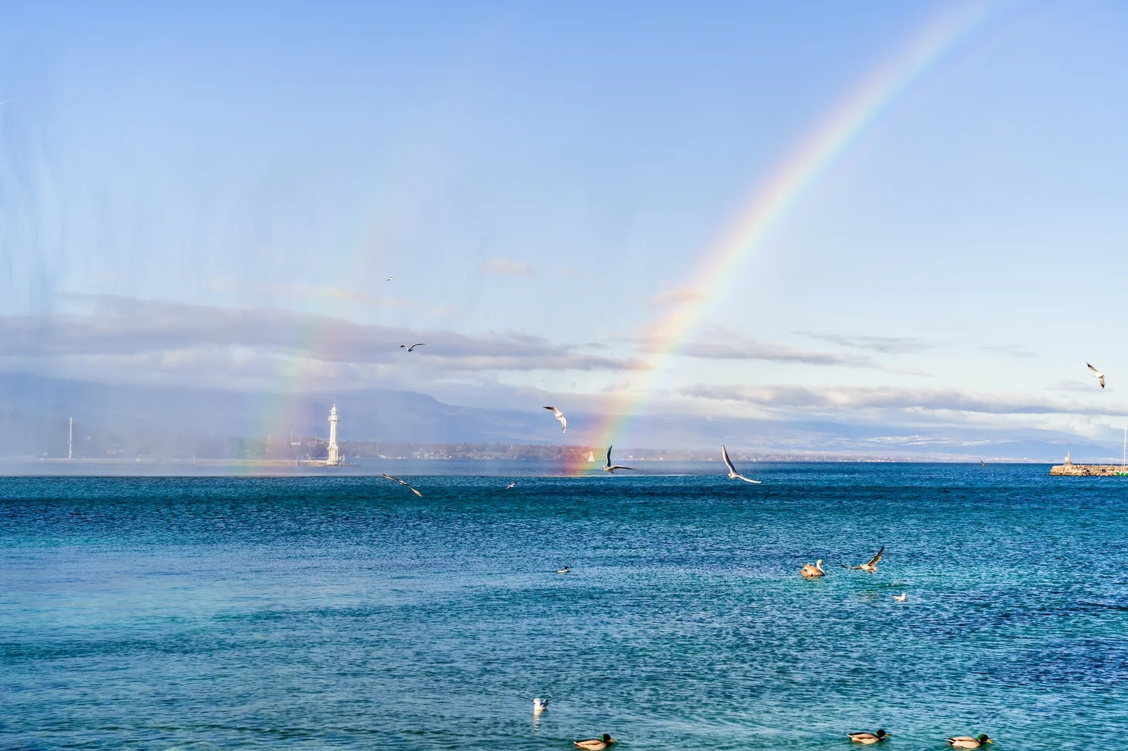 Le Tour du Lac Léman : Une Expérience Unique