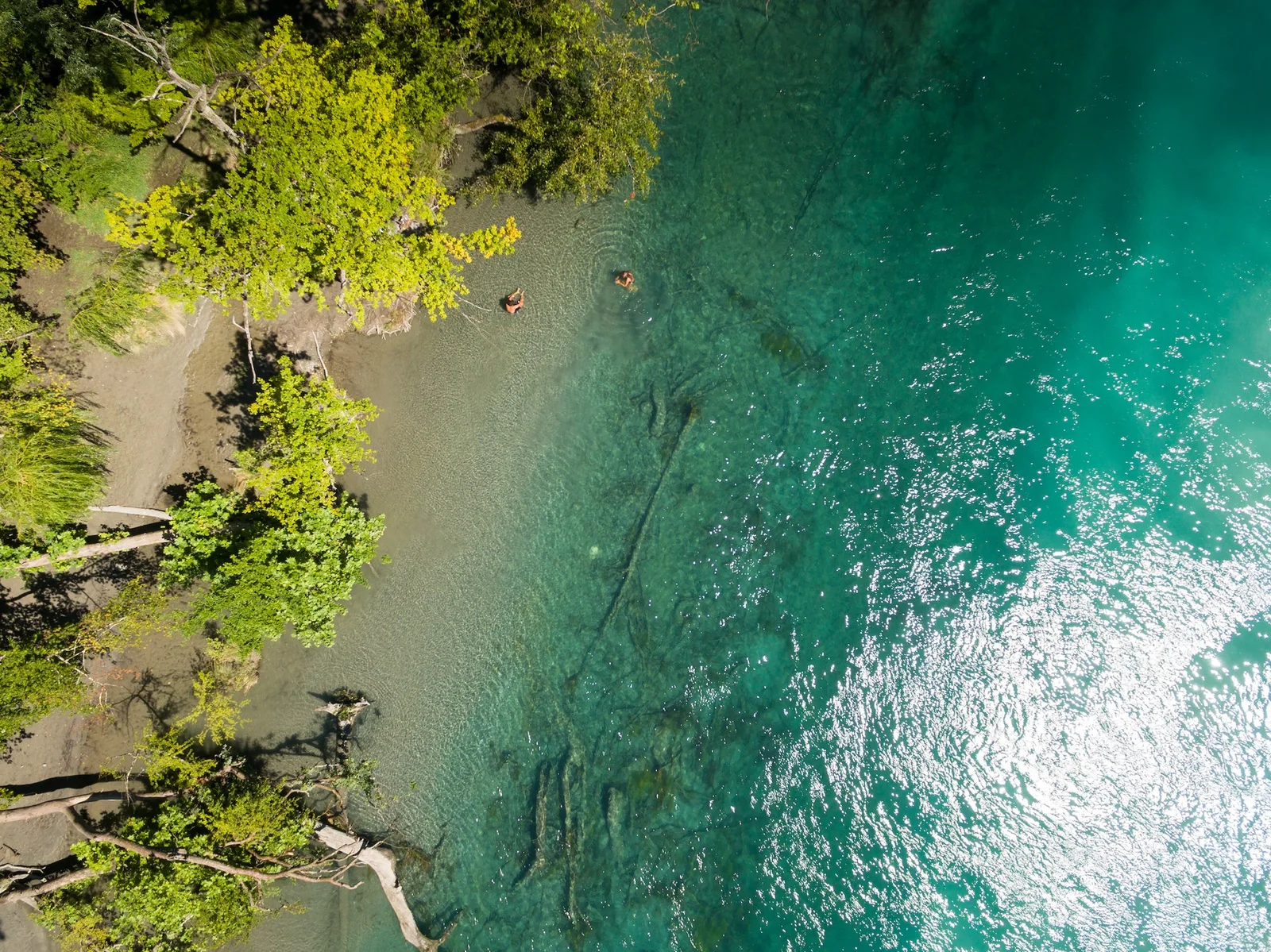 Genève se rafraîchit : Nouveaux espaces de baignade et zones ombragées en préparation