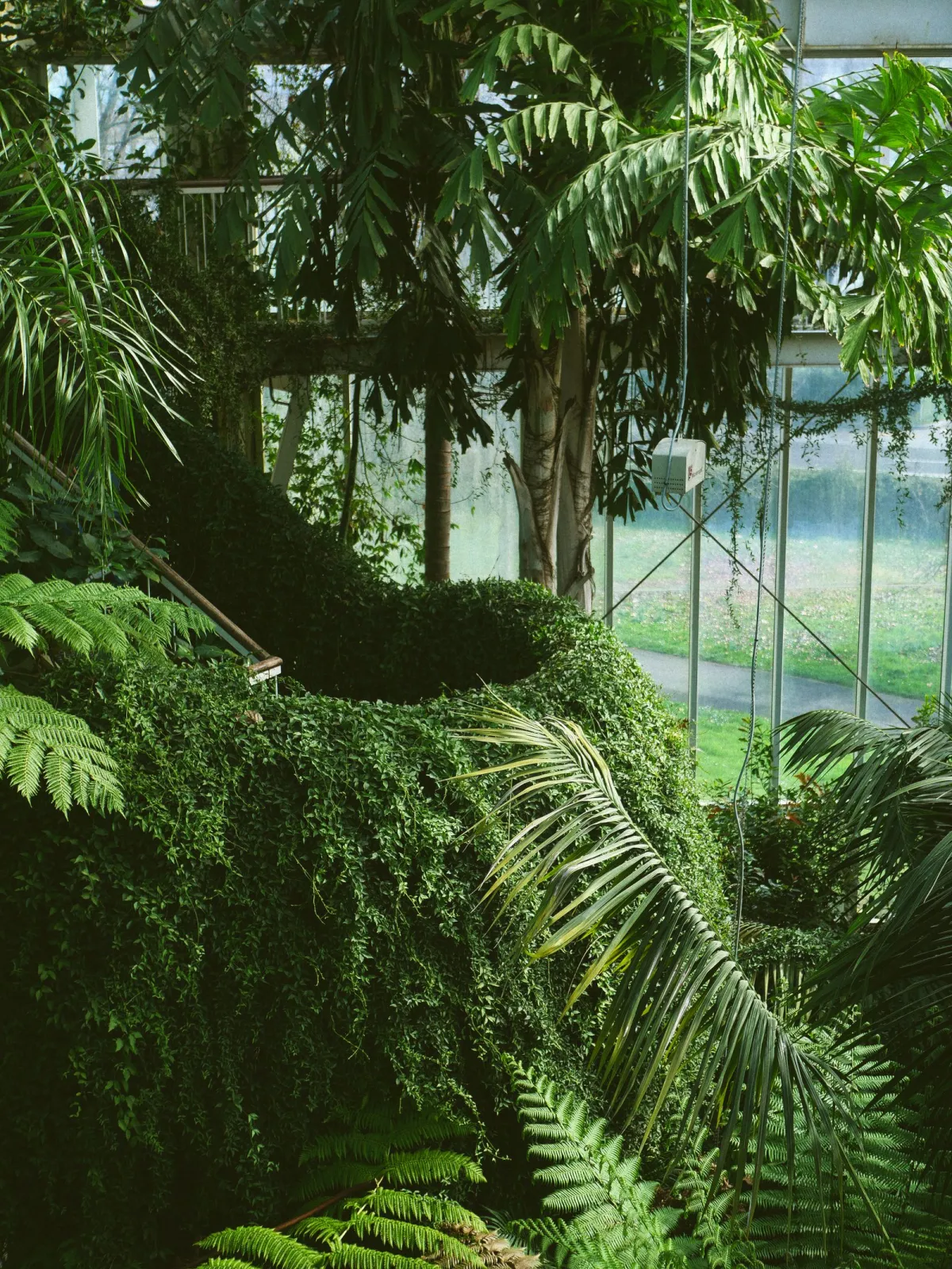 Serre tropicale luxuriante d'un jardin botanique